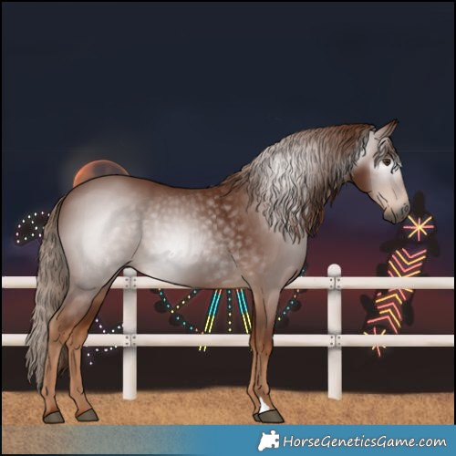 Horse Color:Gray Chestnut 