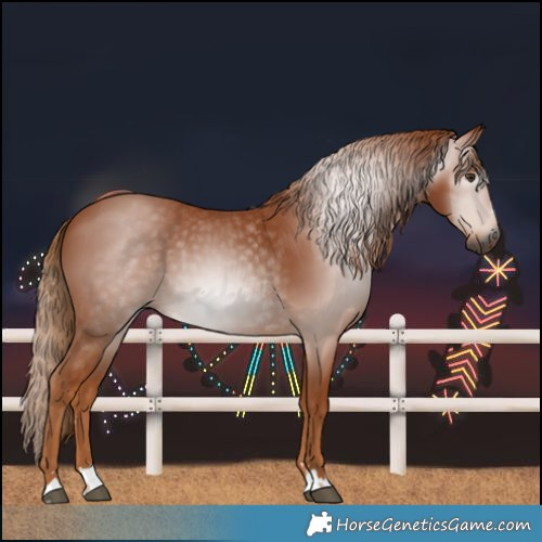 Horse Color:Gray Chestnut 