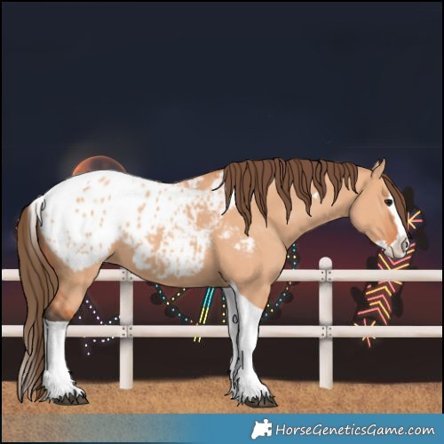 Horse Color:Bay Dun Splash Tobiano Blanket 