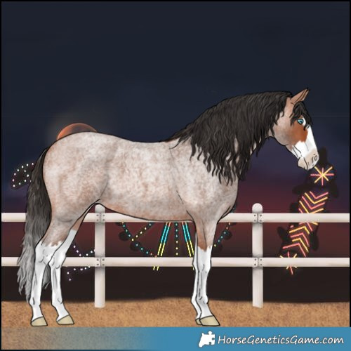 Horse Color:Bay Roan Splash 