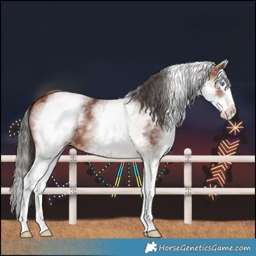 Horse Color:White Spotted Bay Splash 