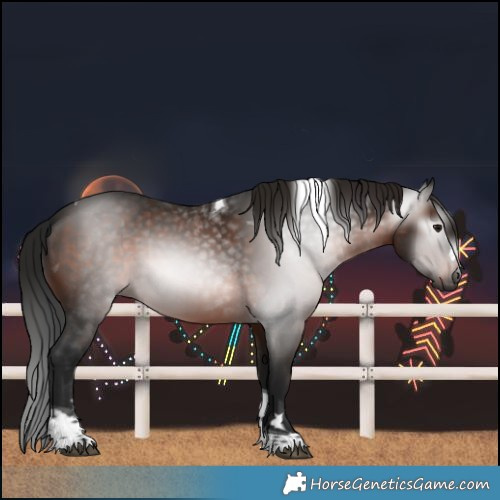 Horse Color:Gray Brown Tobiano