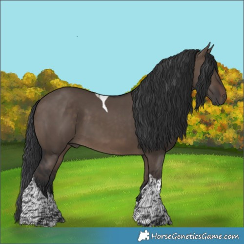 Horse Color:Brown Dun Tobiano 