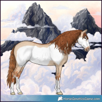 Horse Color:Red Dun Frame Rabicano