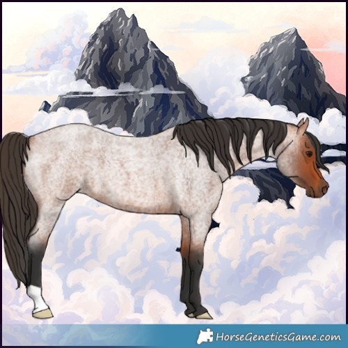 Horse Color:Bay Roan 