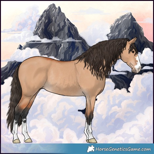 Horse Color:Bay Dun Rabicano 