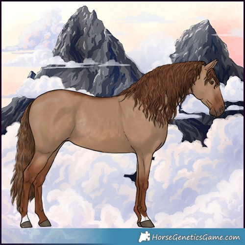 Horse Color:Red Dun Rabicano 