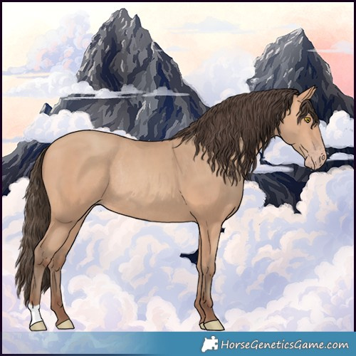 Horse Color:Amber Champagne Rabicano 