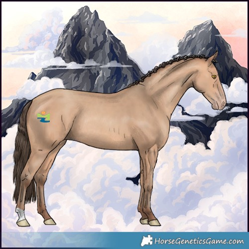 Horse Color:Amber Champagne Rabicano 
