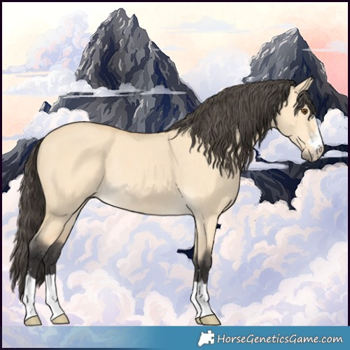 Horse Color:Buckskin Dun Rabicano 