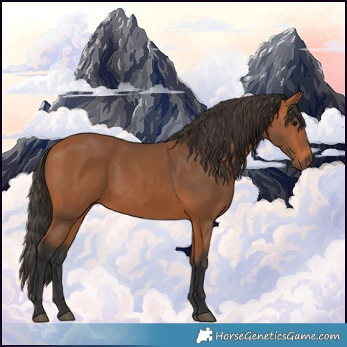 Horse Color:Bay Rabicano 