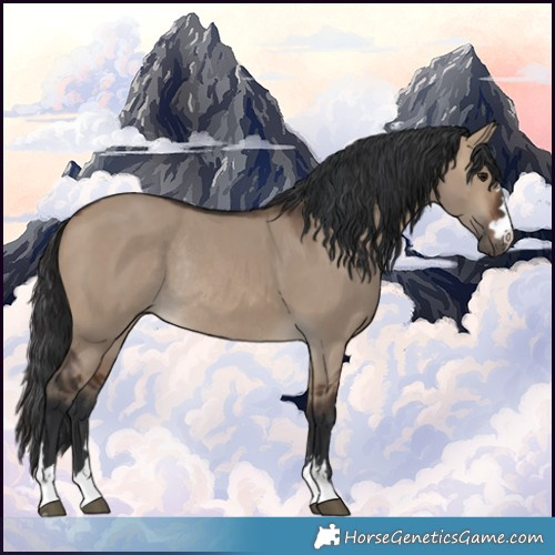 Horse Color:Brown Dun Rabicano 