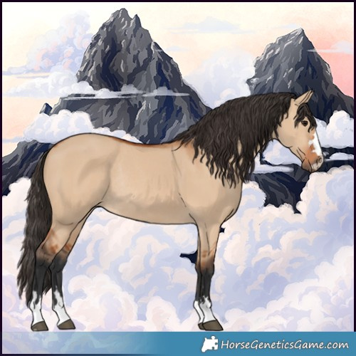 Horse Color:Bay Dun Rabicano 