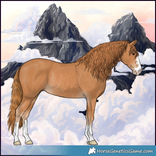 Horse Color:Chestnut Rabicano 