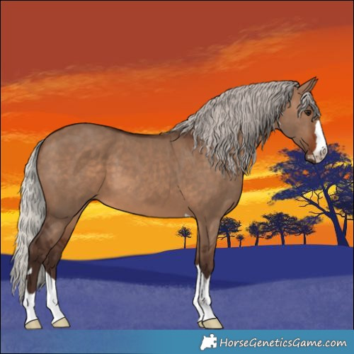 Horse Color:Silver Brown Dun