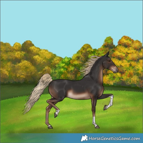 Horse Color:Liver Chestnut Tobiano Rabicano 