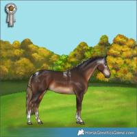 Horse Color:Powder White Gray Liver Chestnut Tobiano 