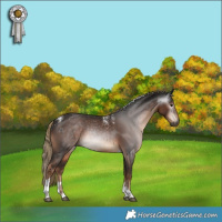 Horse Color:Powder White Gray Liver Chestnut Tobiano