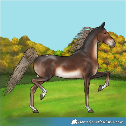 Horse Color:Liver Chestnut Tobiano 