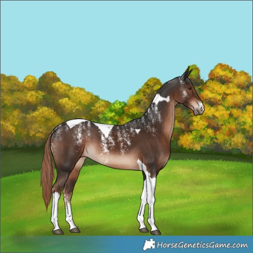 Horse Color:Powder White Liver Chestnut Tobiano 