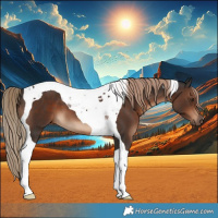 Horse Color:Liver Chestnut Tobiano