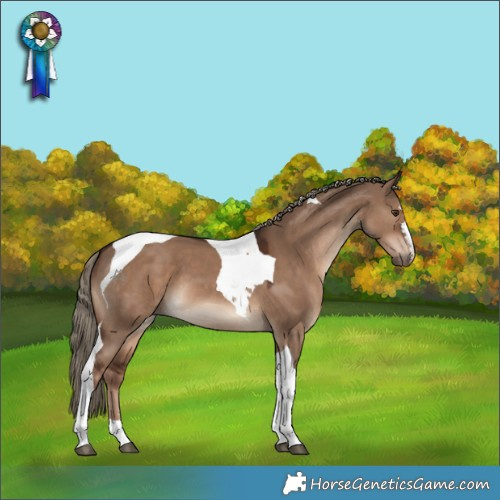 Horse Color:Liver Red Dun Tobiano