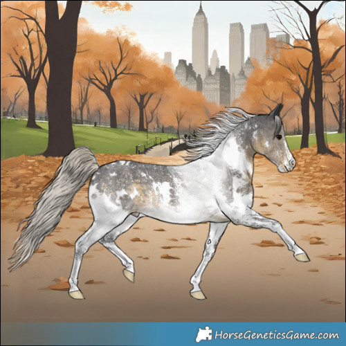 Horse Color:White Spotted Silver Smoky Black Sabino Rabicano 