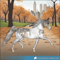 Horse Color:White Spotted Silver Smoky Black Sabino Rabicano 