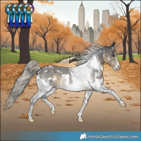 Horse Color:White Spotted Silver Smoky Black Sabino Rabicano