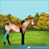 Horse Color:Bay Onyx Tobiano Varnish 