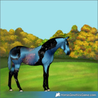 Horse Color:ERROR: UNKNOWN ANOMALY