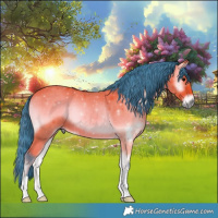 Horse Color:Watercolor Bay Onyx