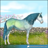 Horse Color:Watercolor Blue Onyx 