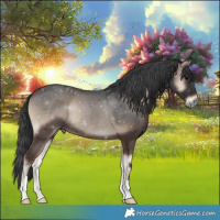 Horse Color:Blue Onyx 