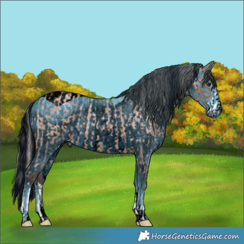 Horse Color:Silver Bay Roan  and ERROR: UNKNOWN ANOMALY