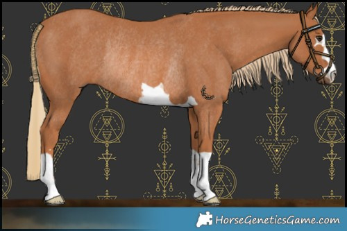Horse Color:Chestnut Rabicano 