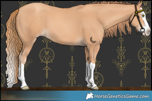 Horse Color:Gold Champagne Splash 