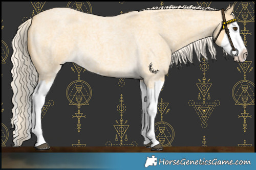 Horse Color:Palomino Roan Splash 