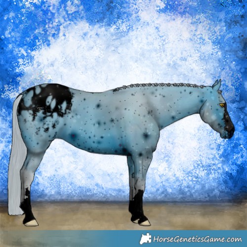 Horse Color:ERROR: UNKNOWN ANOMALY