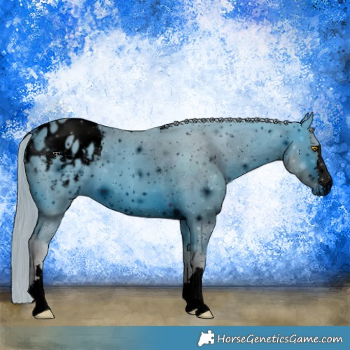 Horse Color:ERROR: UNKNOWN ANOMALY
