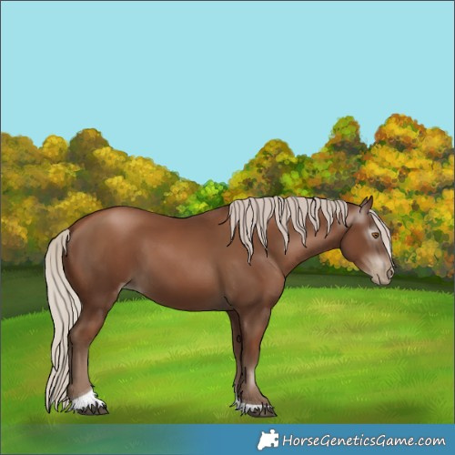 Horse Color:Gray Silver Black Pearl Tobiano 