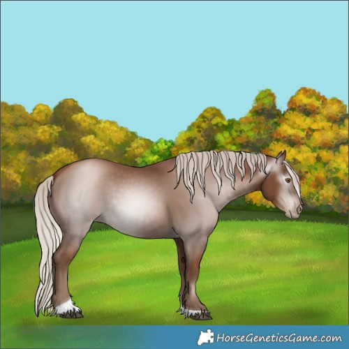 Horse Color:Gray Silver Black Pearl Tobiano