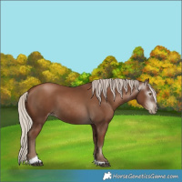 Horse Color:Gray Silver Black Pearl Tobiano