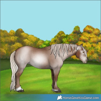 Horse Color:Gray Silver Black Pearl Tobiano 