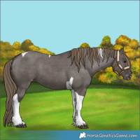Horse Color:Smoky Grullo Tobiano Varnish