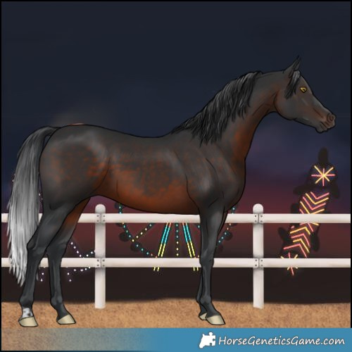 Horse Color:Brown 