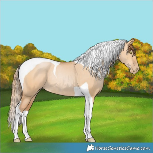Horse Color:Bay Pearl Dun Tobiano Rabicano 