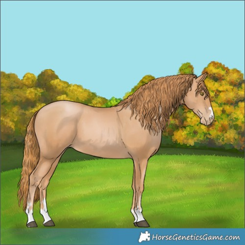 Horse Color:Chestnut Pearl 