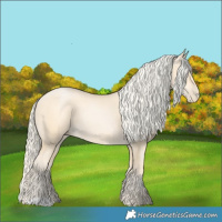 Horse Color:Palomino Pearl