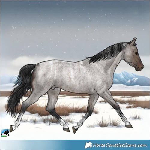 Horse Color:Powder White Brown Roan Dun